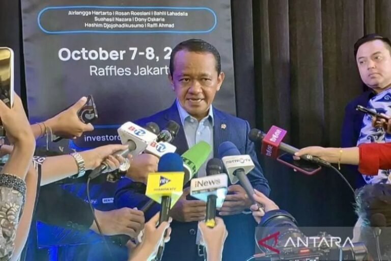 Rangkuman Ekonomi: Moratorium Smelter Nikel, Pembiayaan UMKM, hingga Keyakinan Luhut soal Ekonomi RI